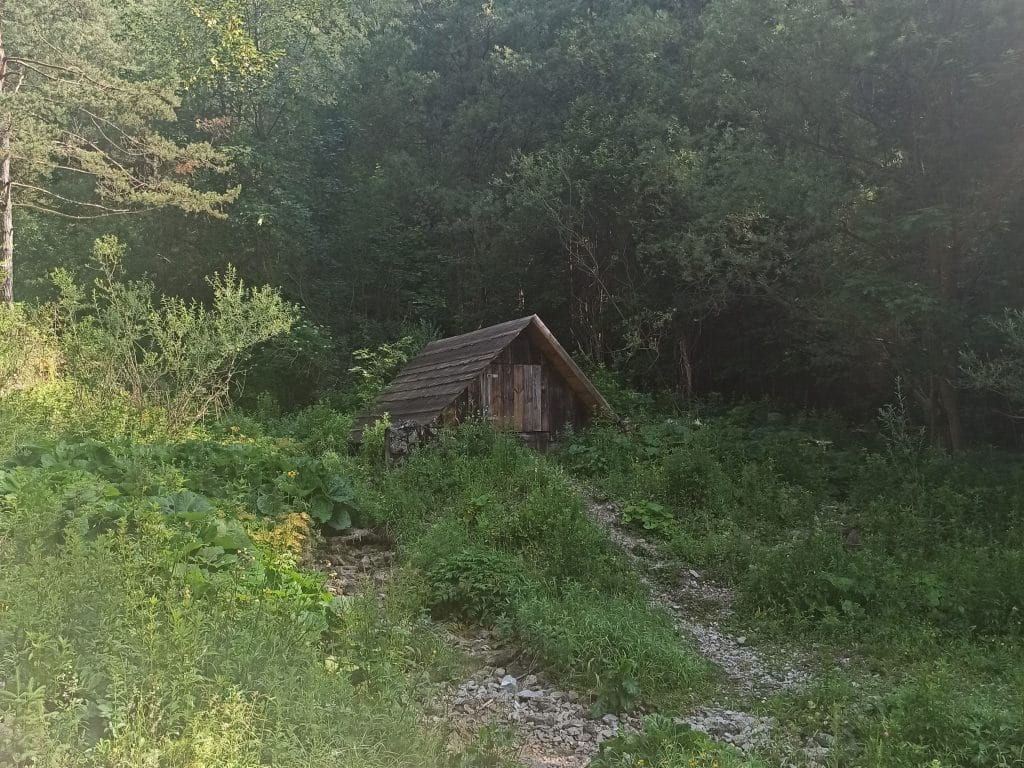 Drewniany domek na skraju lasu.