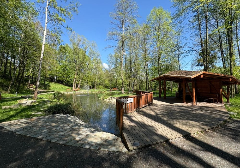 Zielony park ze stawem, pomostem i drewnianą budką