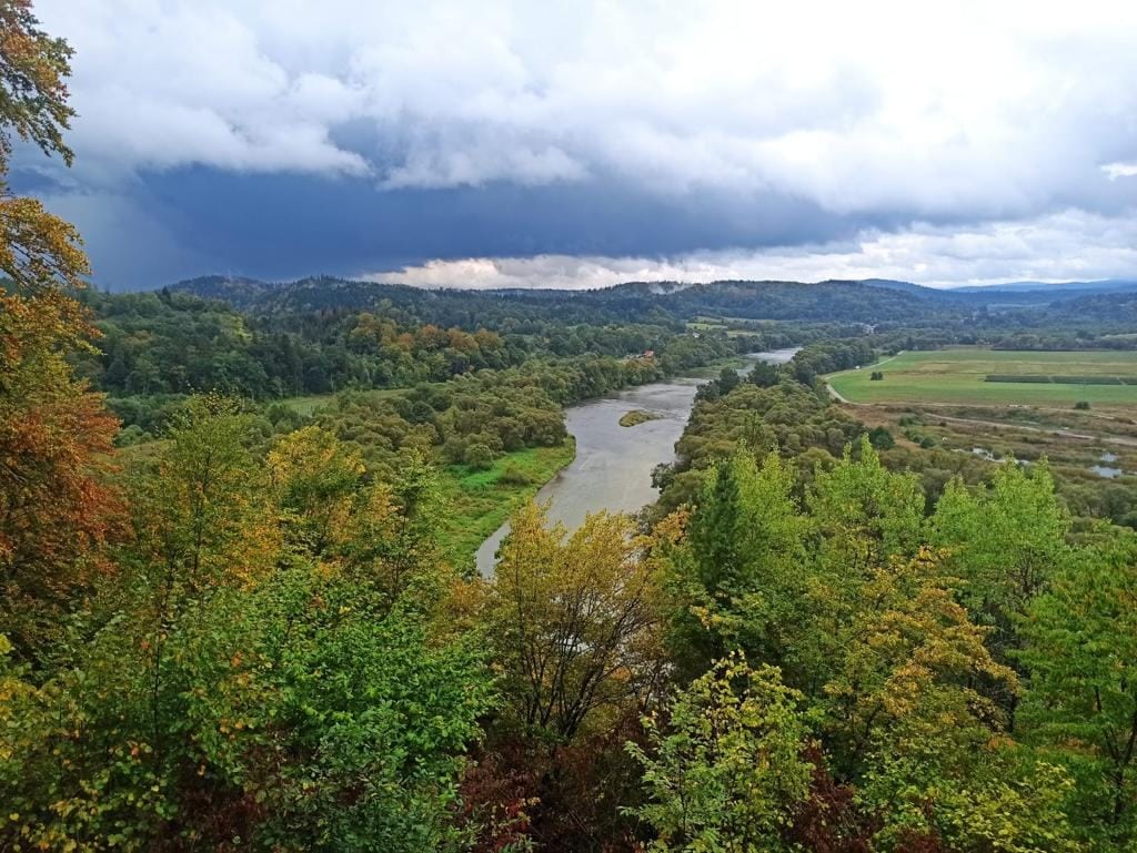 Widok na rzekę San i okoliczne wzgórza.