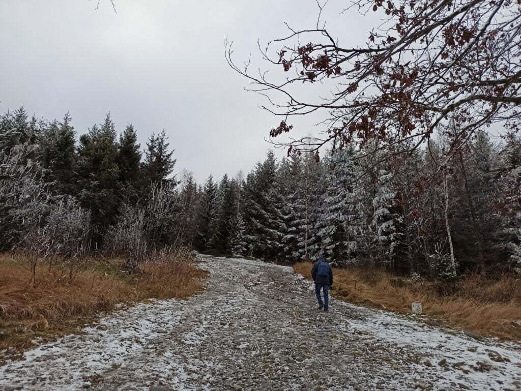 Szlak górski na Biskupią Kopę, ośnieżona ścieżka i drzewa.