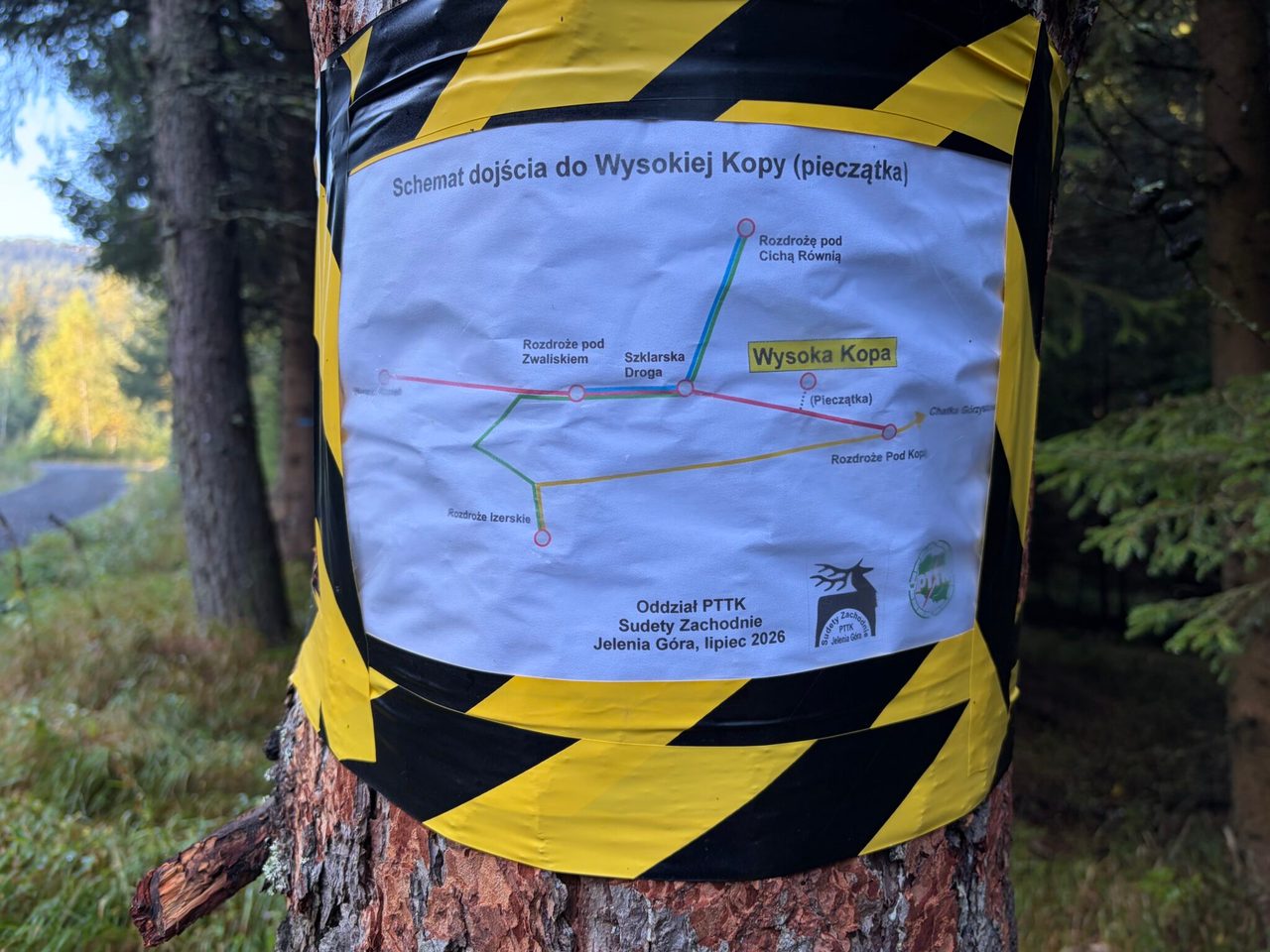 Przyklejona do drzewa kartka informacyjna z wytyczonymi szlakami