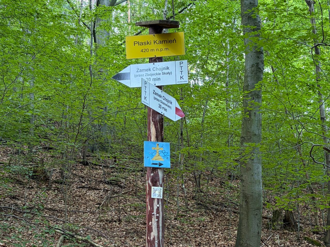 Tabliczki szlakowe w lesie