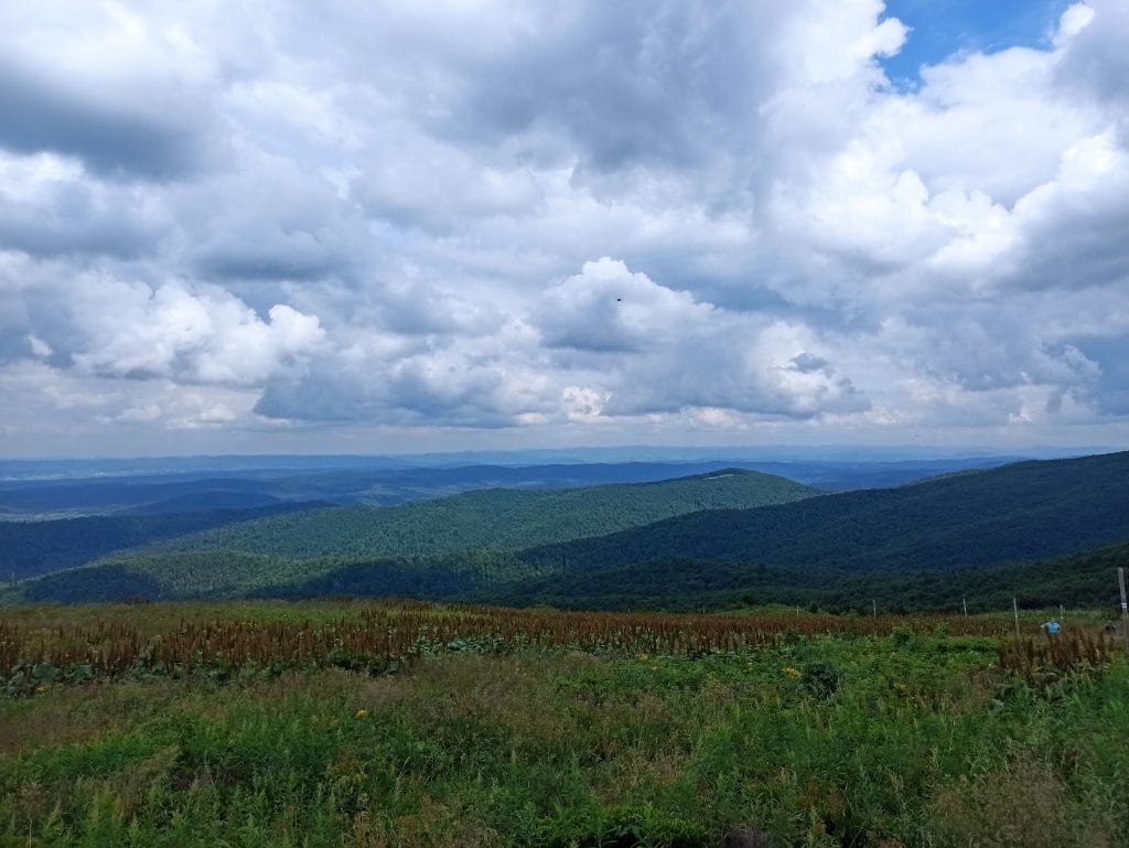 Krajobraz górski - widok z Bukowego Berda.