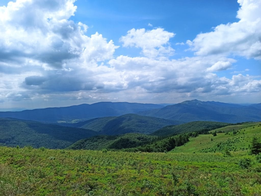 Krajobraz górski - widok z Bukowego Berda.