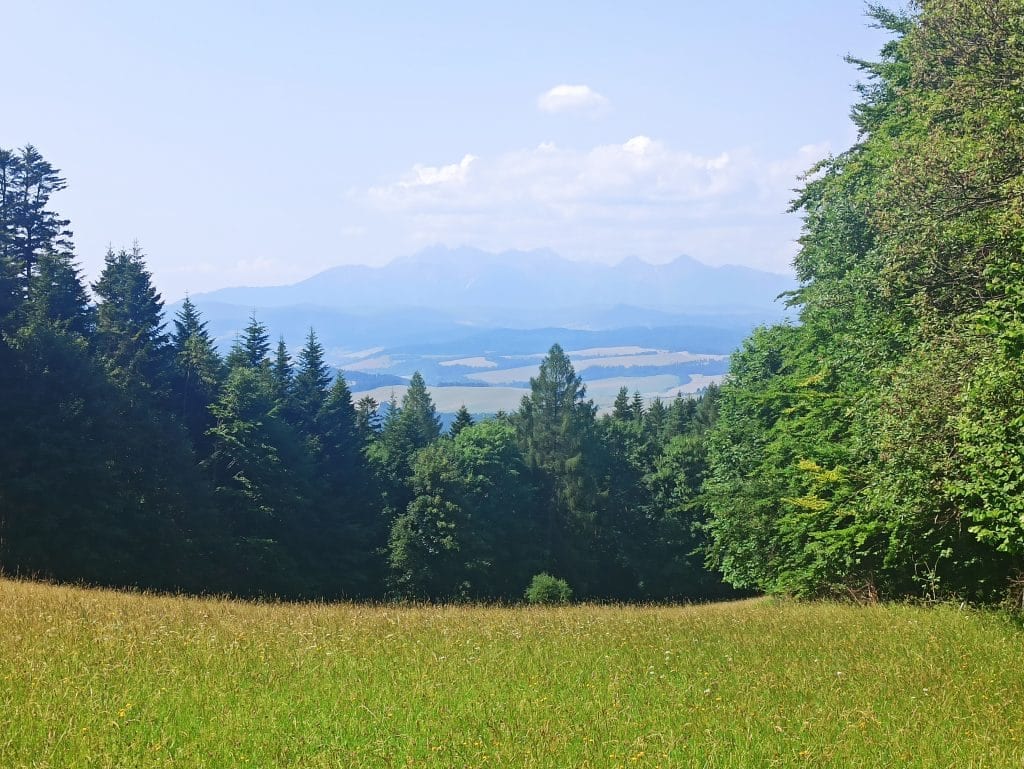 Widok z łąki na Tatry.