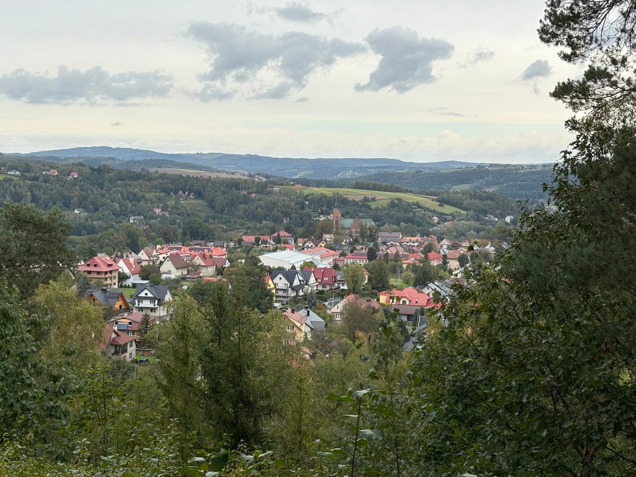 Krajobraz z miastem i górami